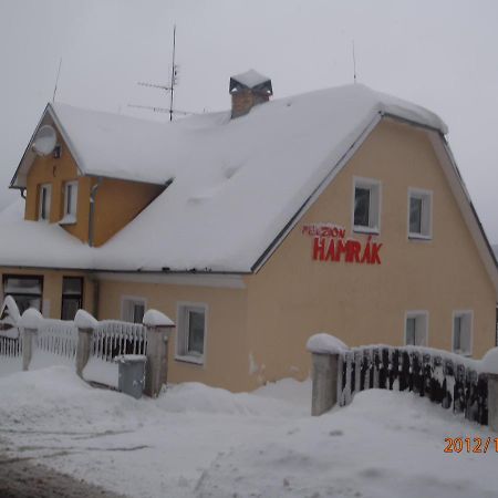 Penzion Hamrak Ceske Hamry Exterior photo