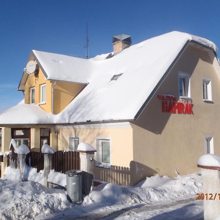 Penzion Hamrak Ceske Hamry Exterior photo