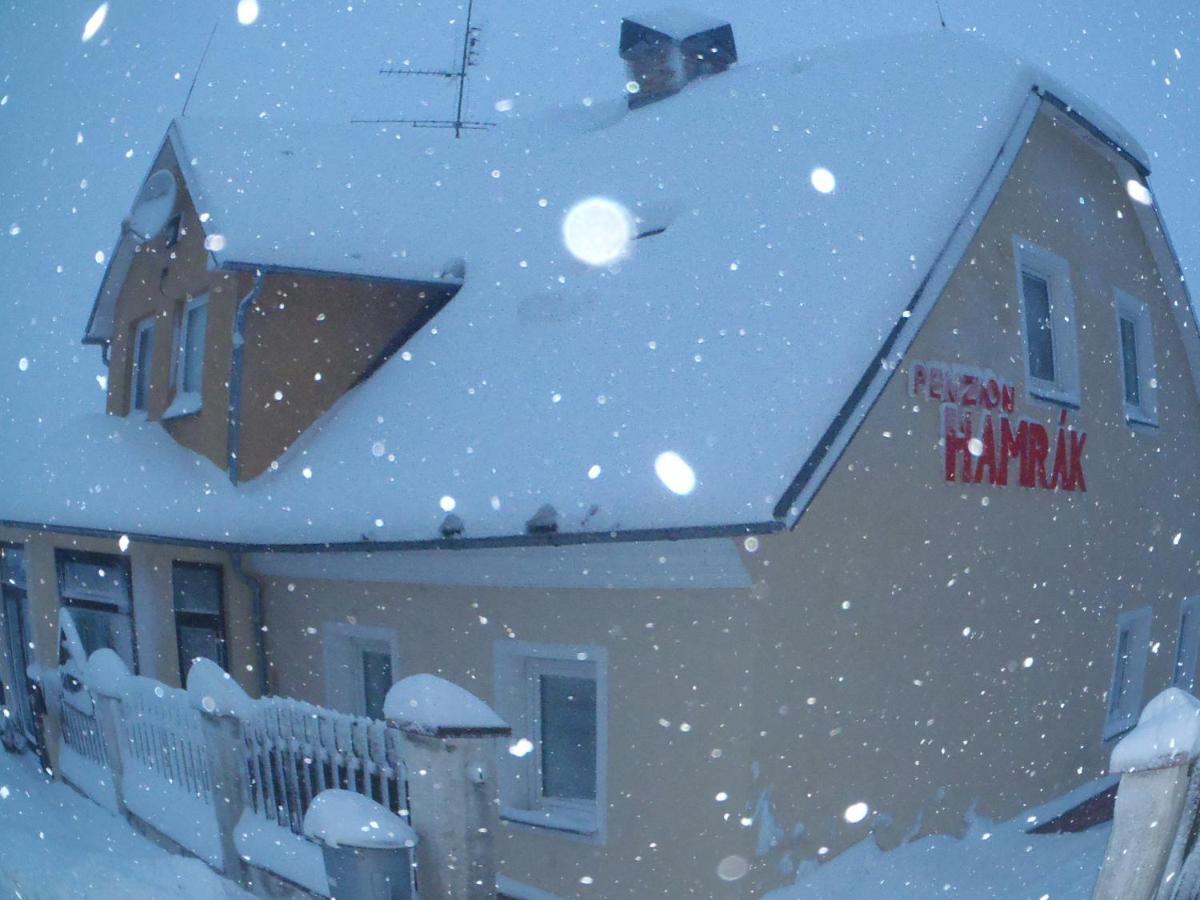 Penzion Hamrak Ceske Hamry Exterior photo