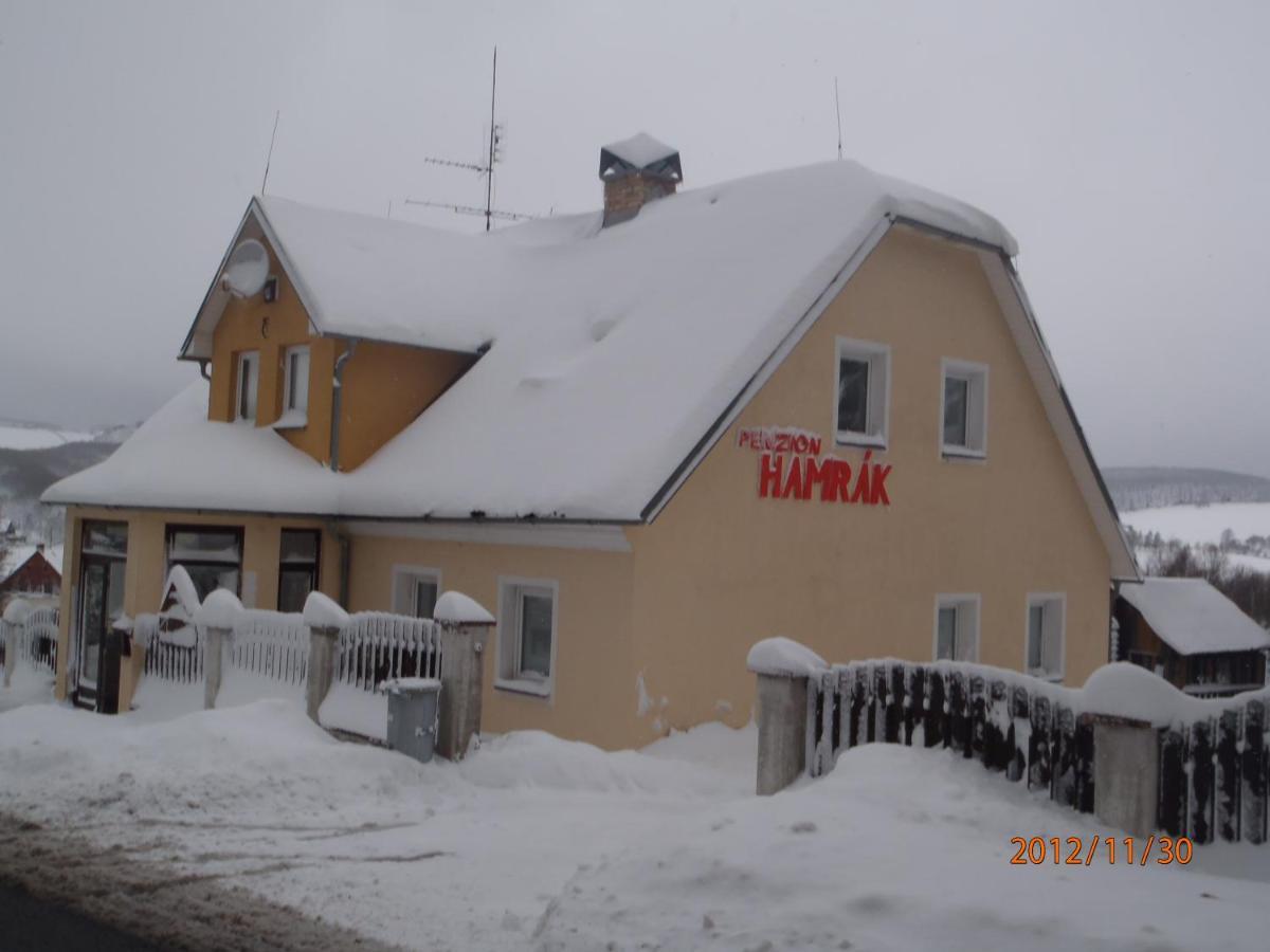 Penzion Hamrak Ceske Hamry Exterior photo