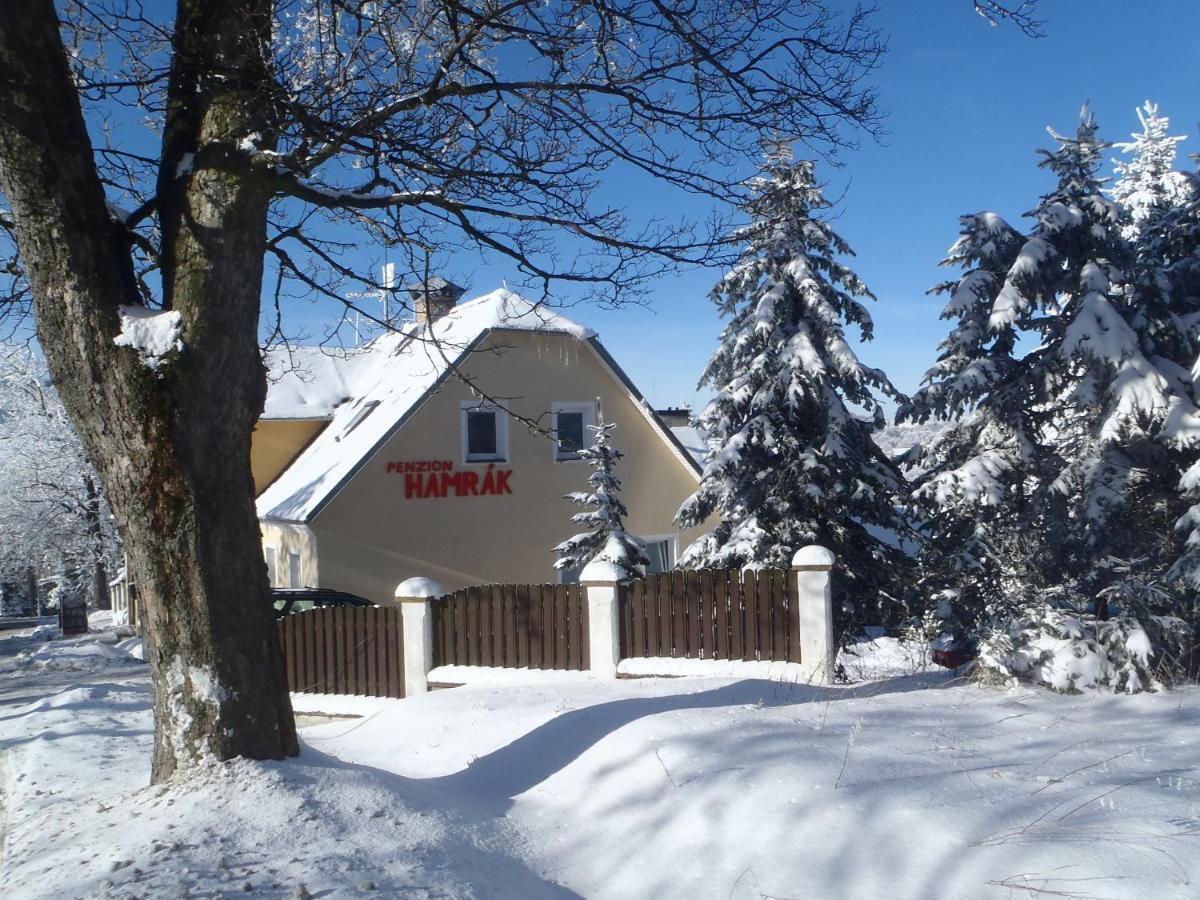 Penzion Hamrak Ceske Hamry Exterior photo